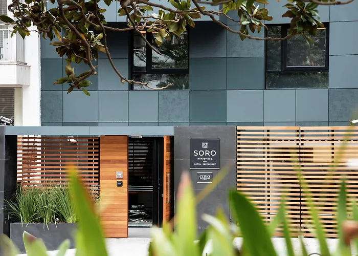 Soro Montevideo, Curio Collection By Hilton
